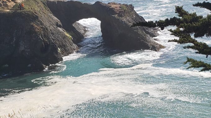 Mendocino Headlands State Park - Photo by Stephanie Sylva